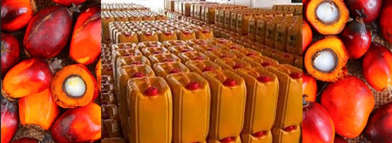 origical palm oil in uyo
