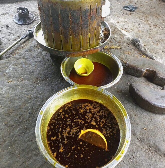 palm oil extraction in a mill in uyo by our processors